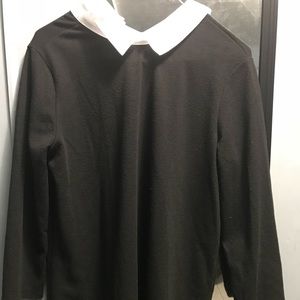 Zara flowy white collared black dress